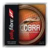 Polyfibre Cobra Set Di Corde 12m 2 Polyfibre Cobra Set Di Corde 12m -Racchette da tennis negozio 01212000 000 2