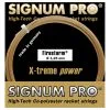 Signum Pro Firestorm Metallic Set Di Corde 12,2m - Oro -Racchette da tennis negozio 02423000 000